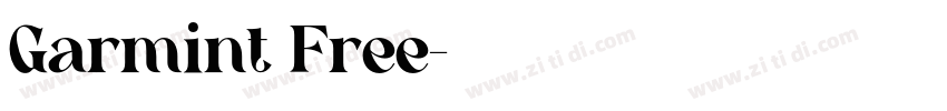 Garmint Free字体转换